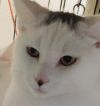 Benny