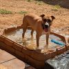 Ruthie photo 5
