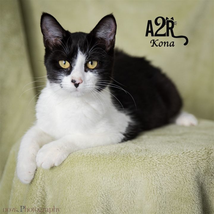 Kona (Bonded with Keanu) 3