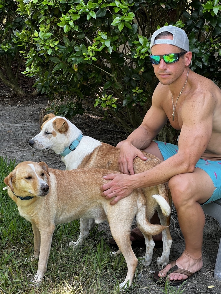 Riley, an adoptable Labrador Retriever in St. Petersburg, FL, 33732 | Photo Image 5