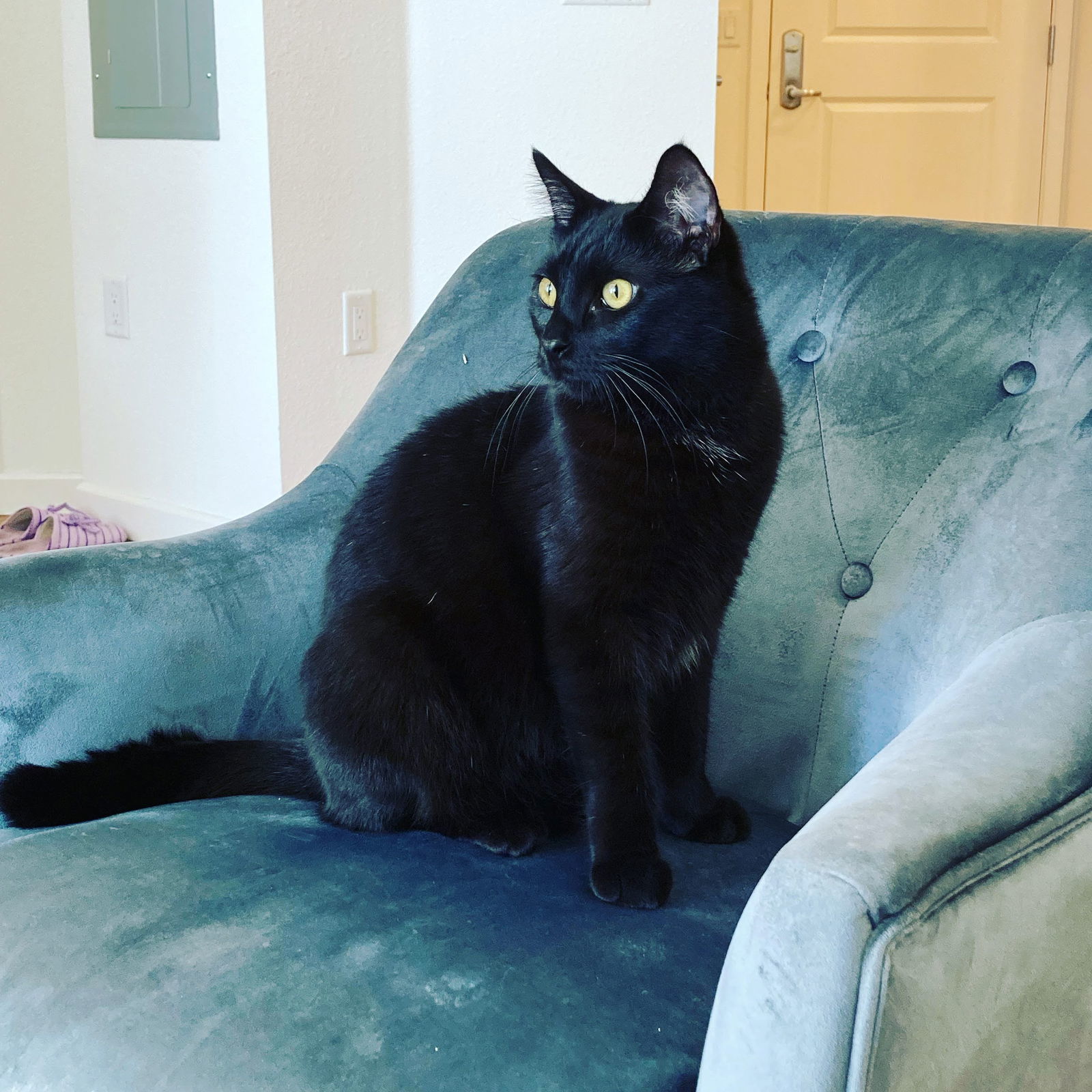 Elijah