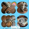 Damien photo 5