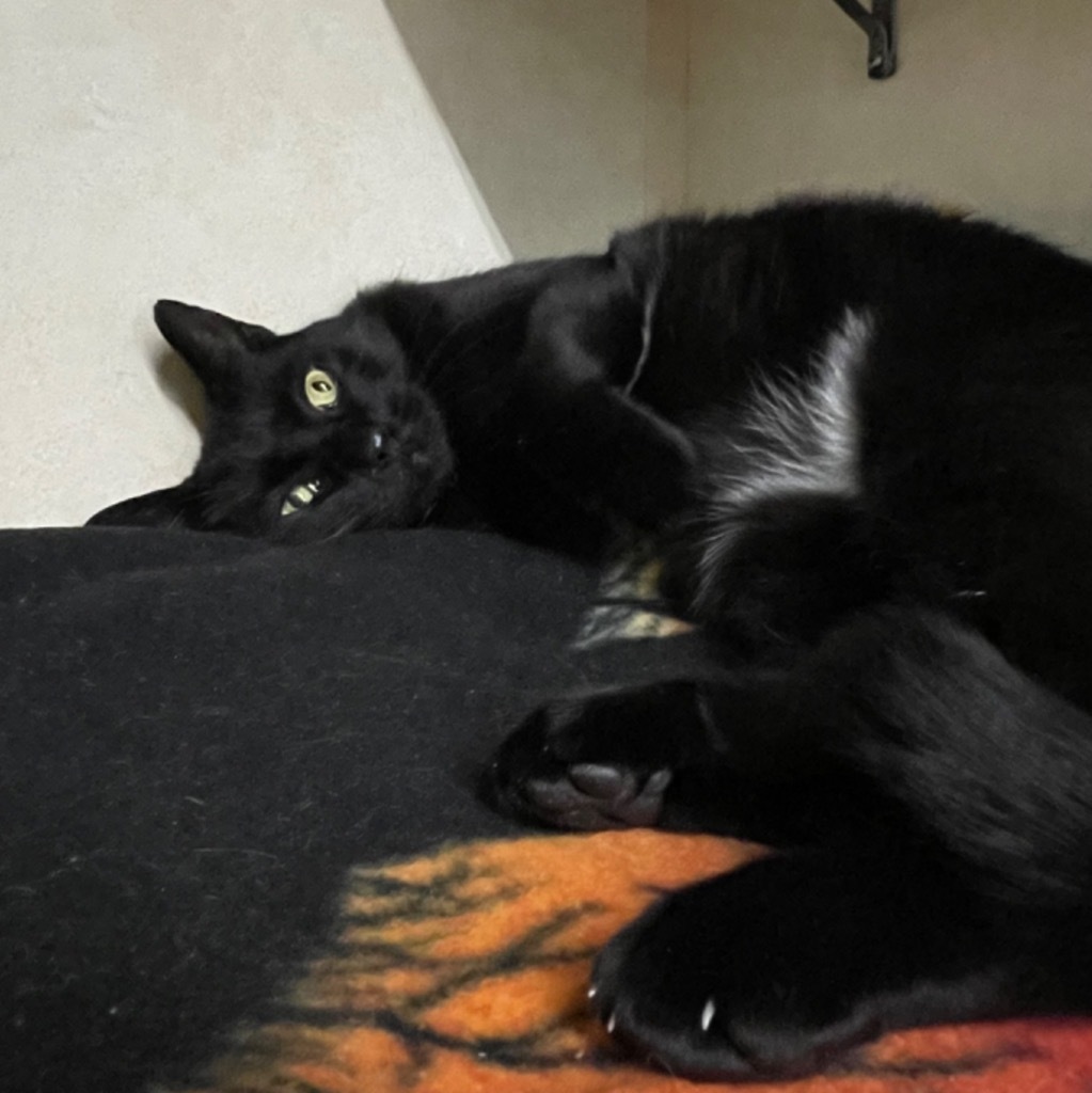 CARLOS (aka, Mouse)
