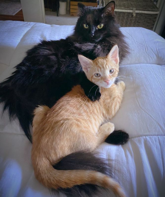 Larry