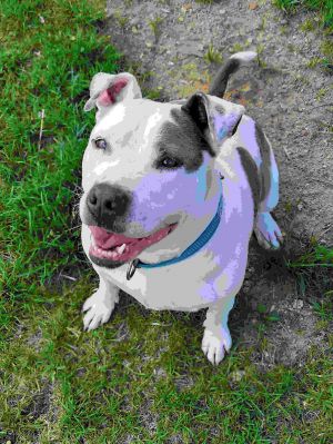 Maya (Adopted)
