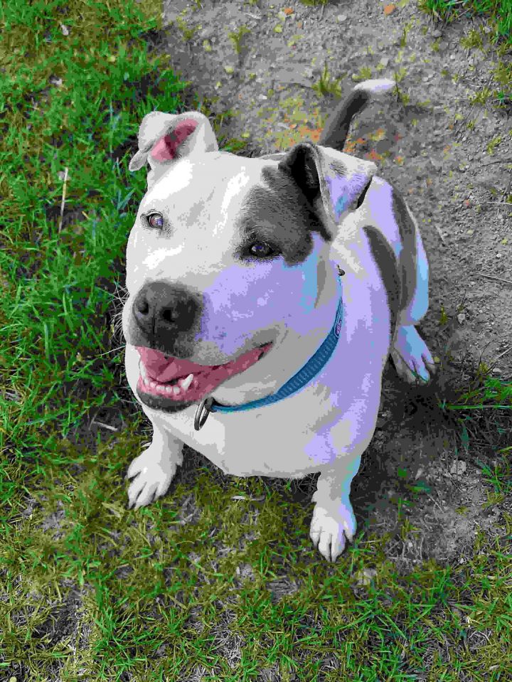 Maya (Adopted) 1