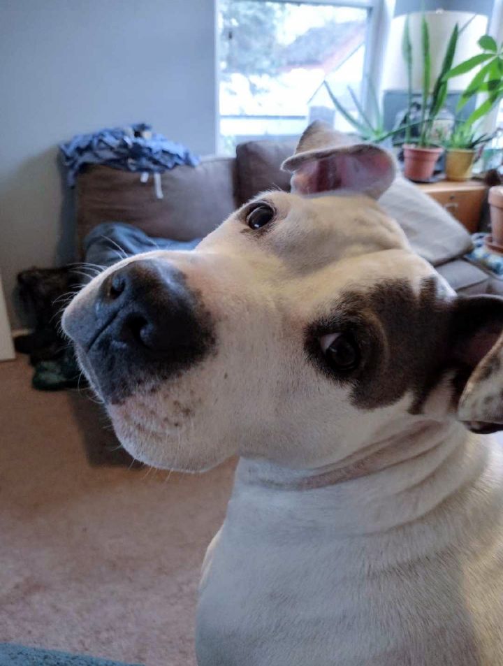 Maya (Adopted) 3