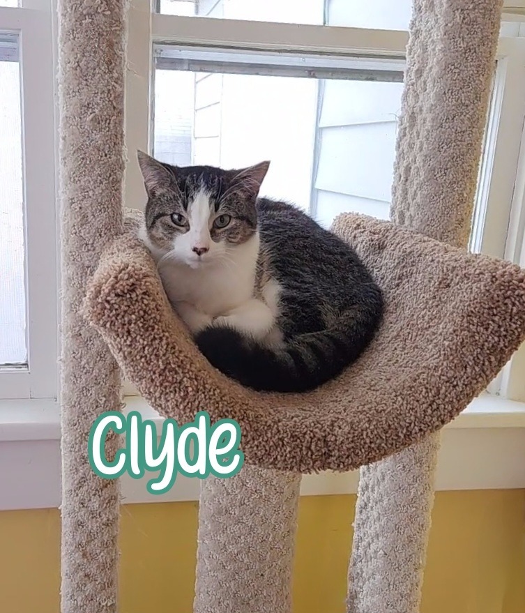 Clyde