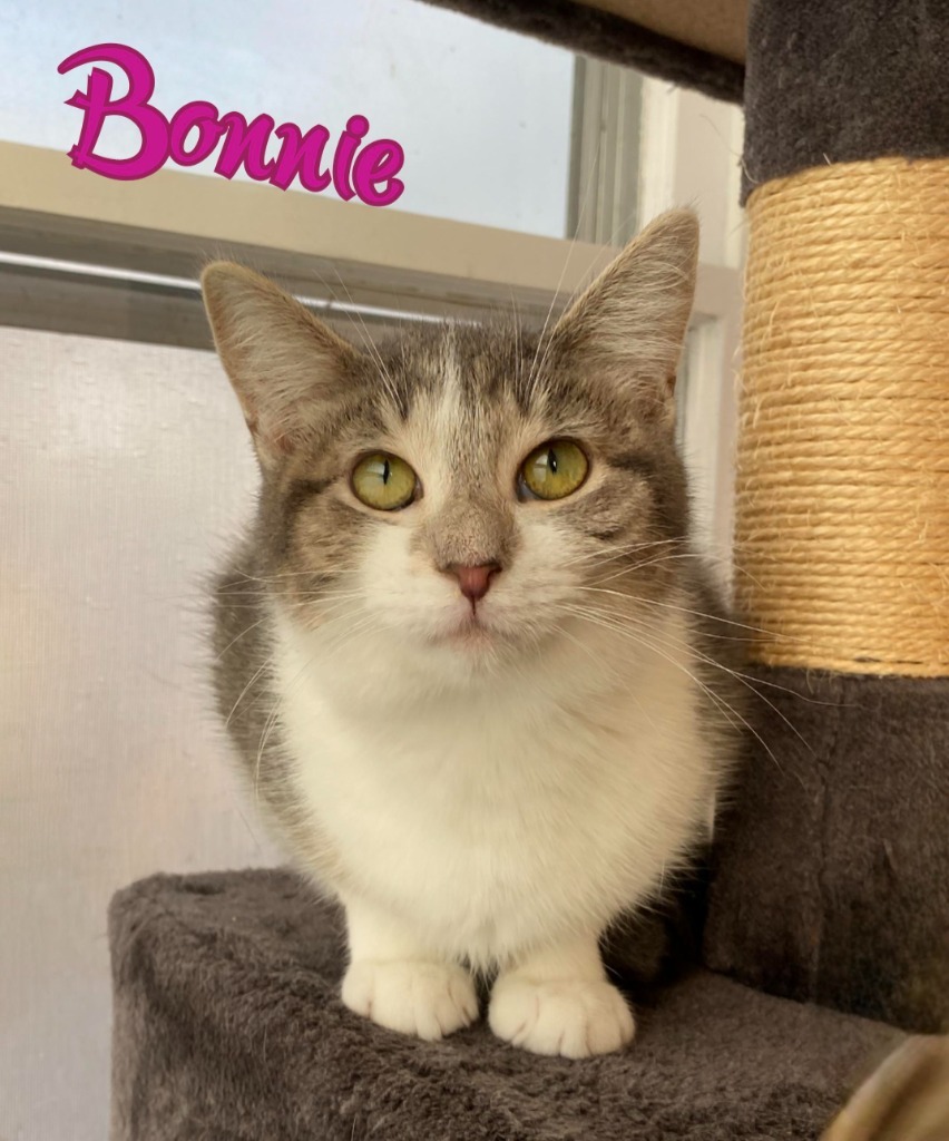 Bonnie