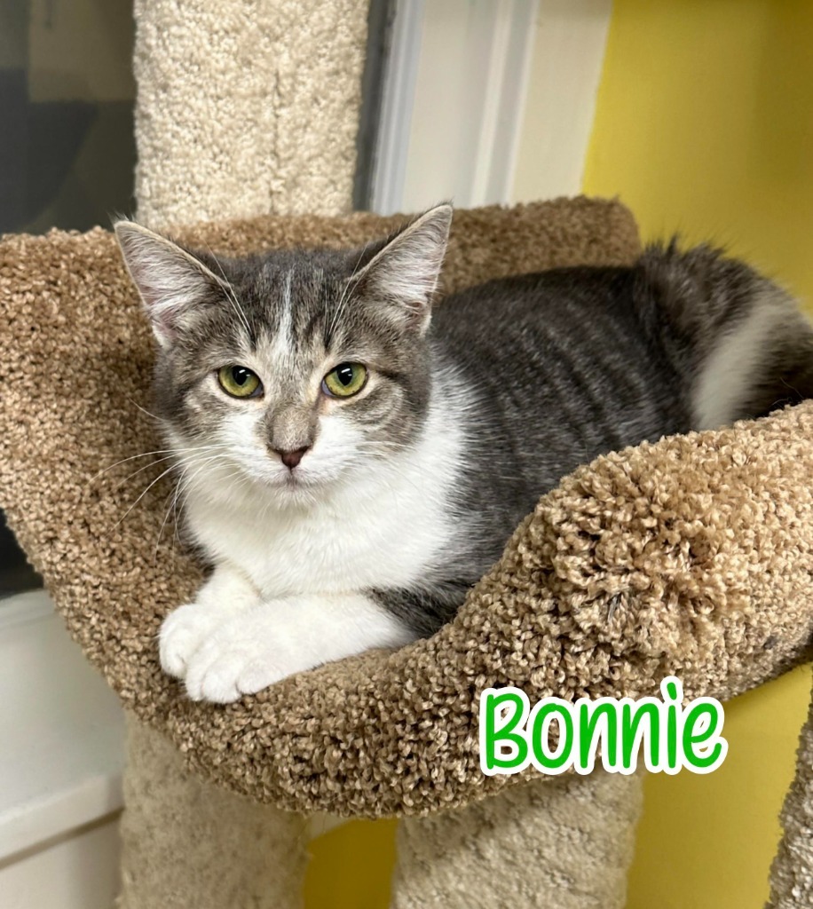 Bonnie