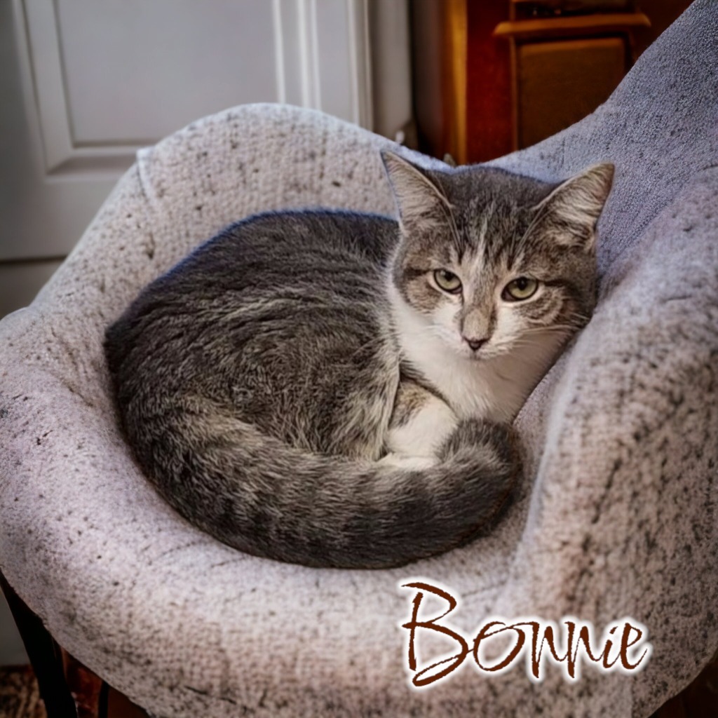 Bonnie