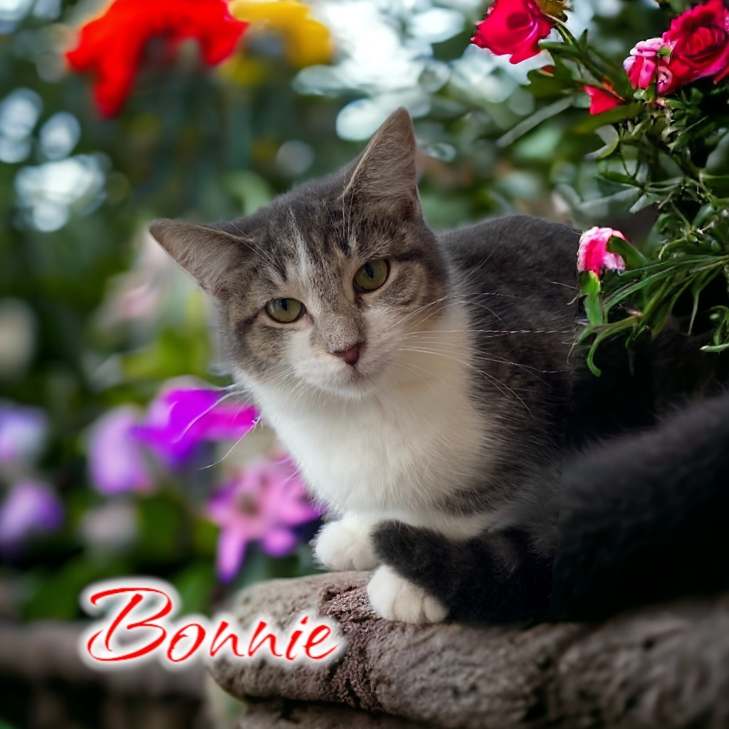 Bonnie