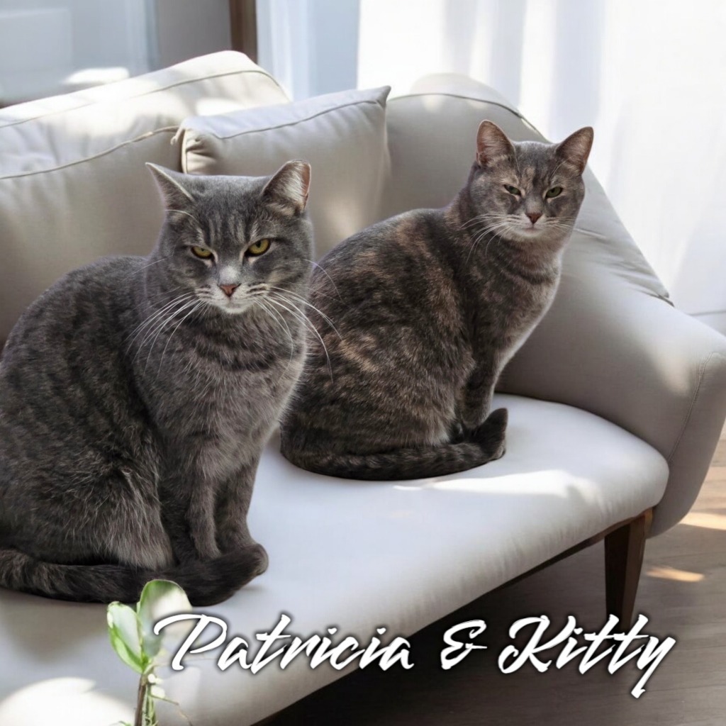 Kitty (Foreman)