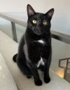 Mooshu photo 4