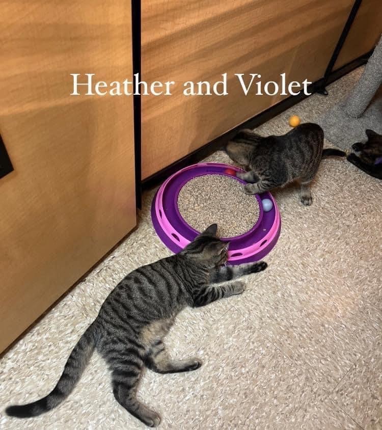Violet and Heather