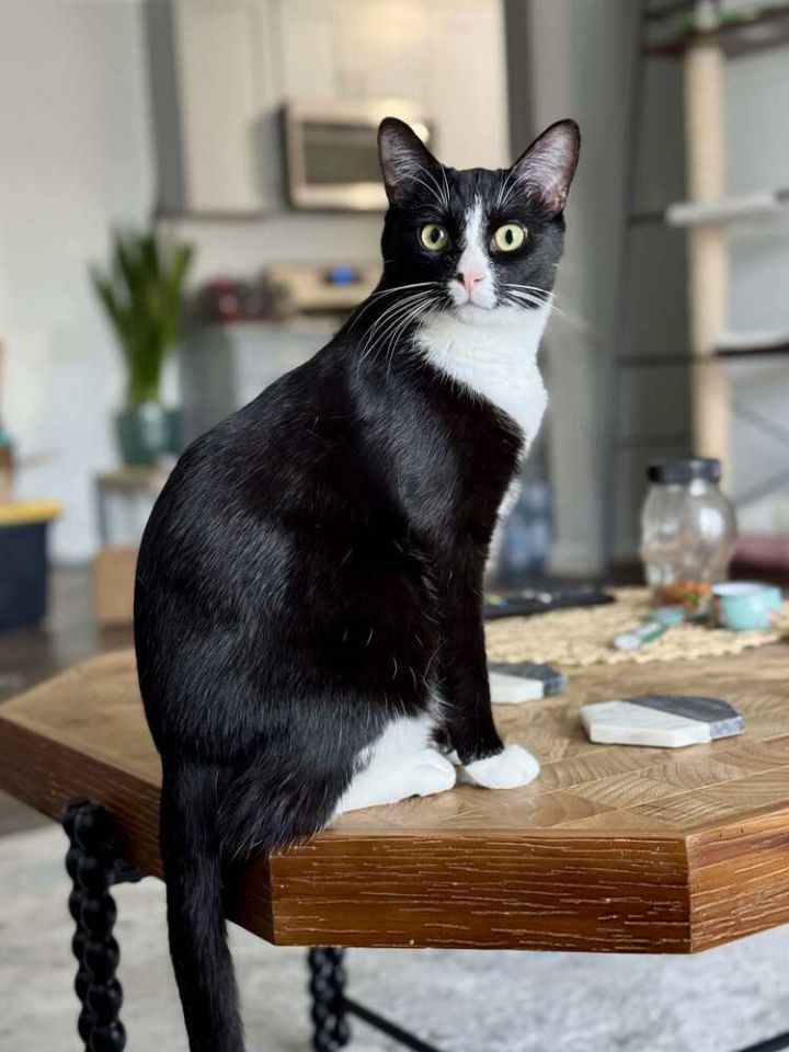 Kiki 1