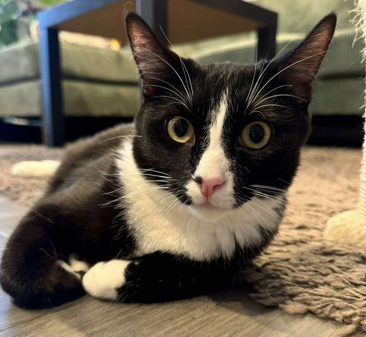 Kiki 2