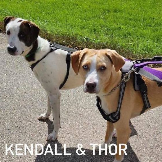 Thor and Kendall