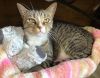 Bootsie photo 2