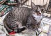 Bootsie photo 3
