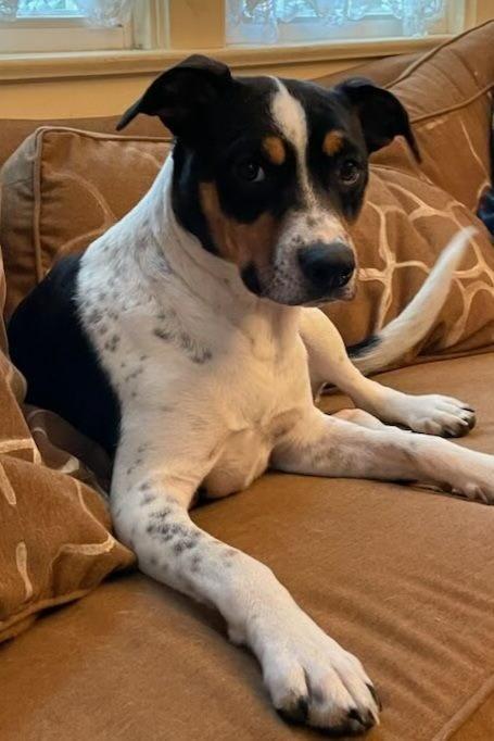 Princess Sadie 1