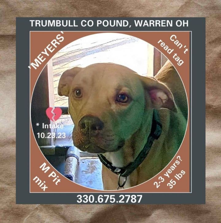 Warren store dog pound