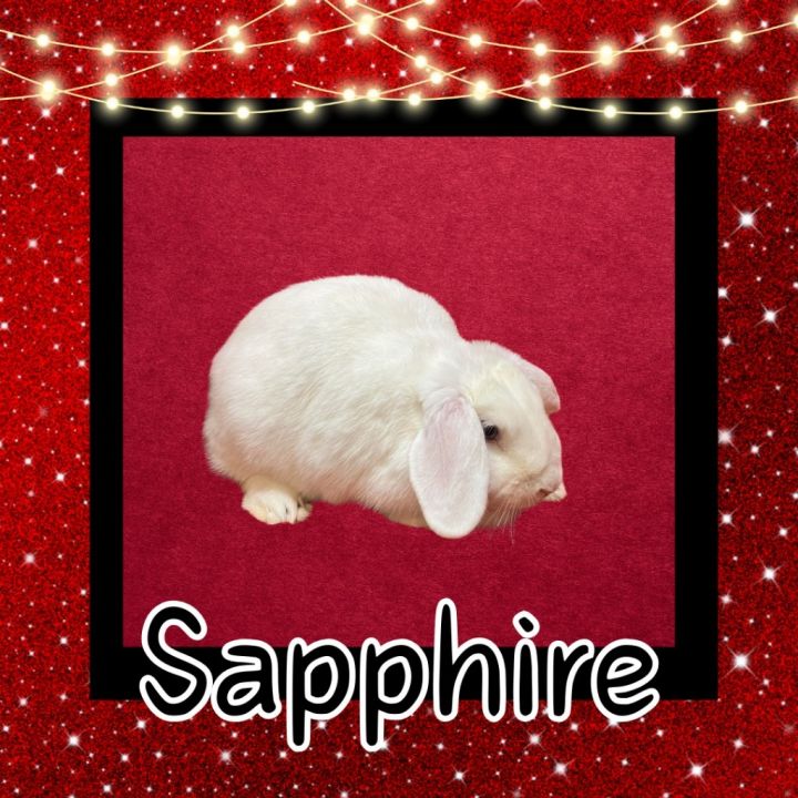 Sapphire LOUISVILLE 1