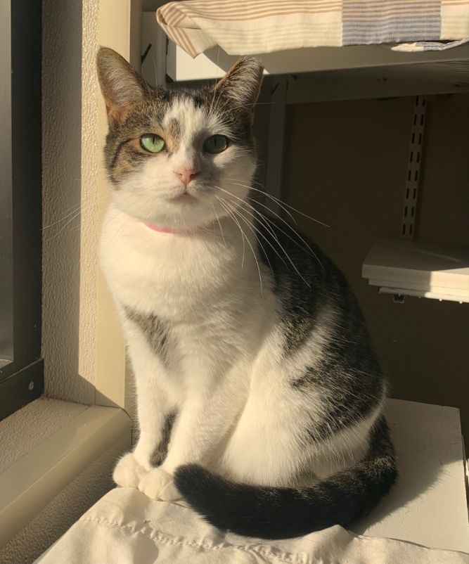 Chloe