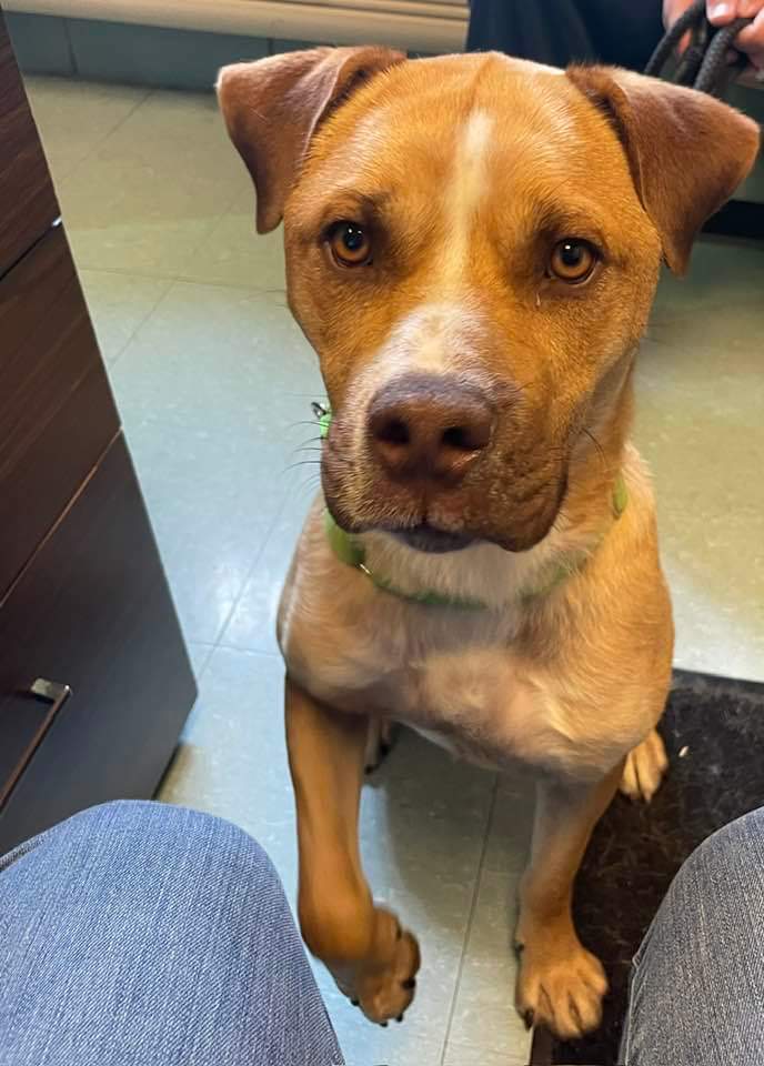 ROSCOE 3