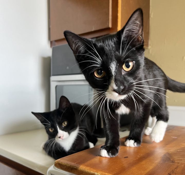 Bella and Wednesday 2