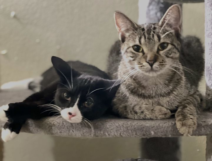 Bella and Wednesday 4