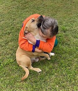 Pawlie, an adoptable Labrador Retriever, Pit Bull Terrier in Mission, TX, 78574 | Photo Image 5