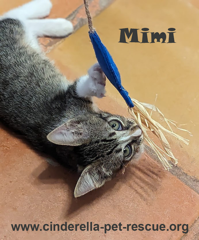 Mimi detail page