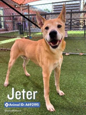 JETER, Adult Male unknown