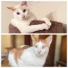 James and Jerry - $20.23ea Home for the Holidays Special Fee!