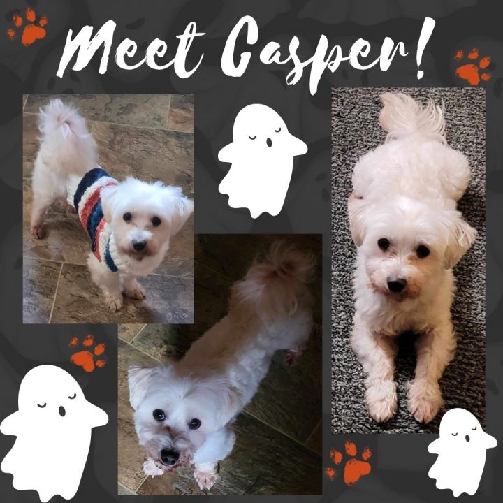 Casper 1