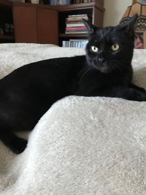 Chloe