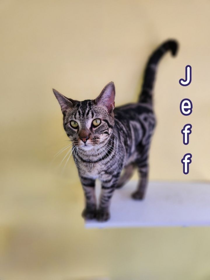 Jeff 5