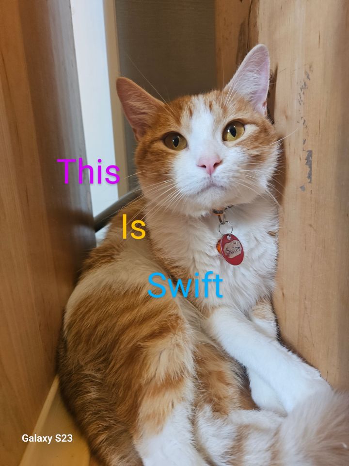 Swift 2
