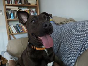 Hurley