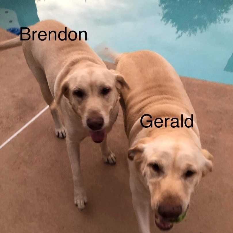 Brendon 