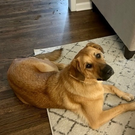 Nala 2
