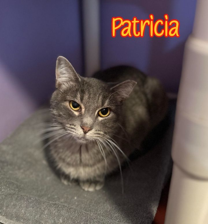 Patricia 2