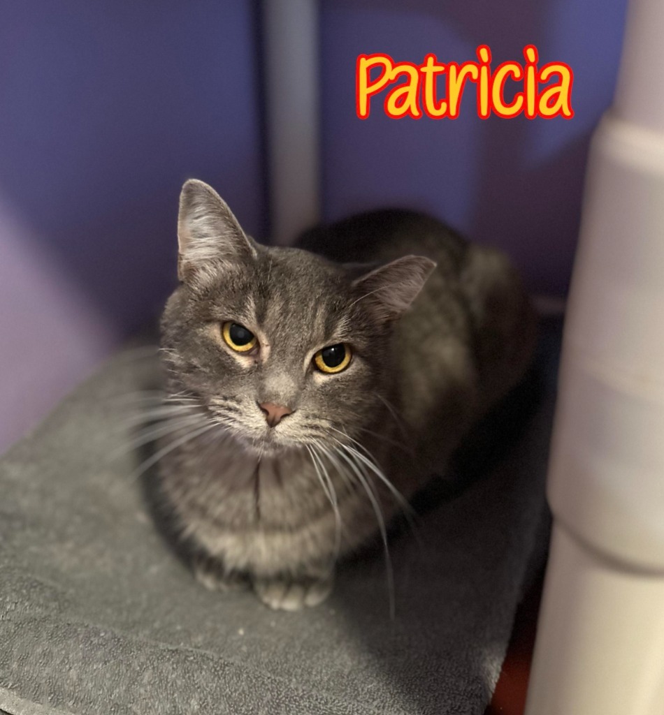 Patricia