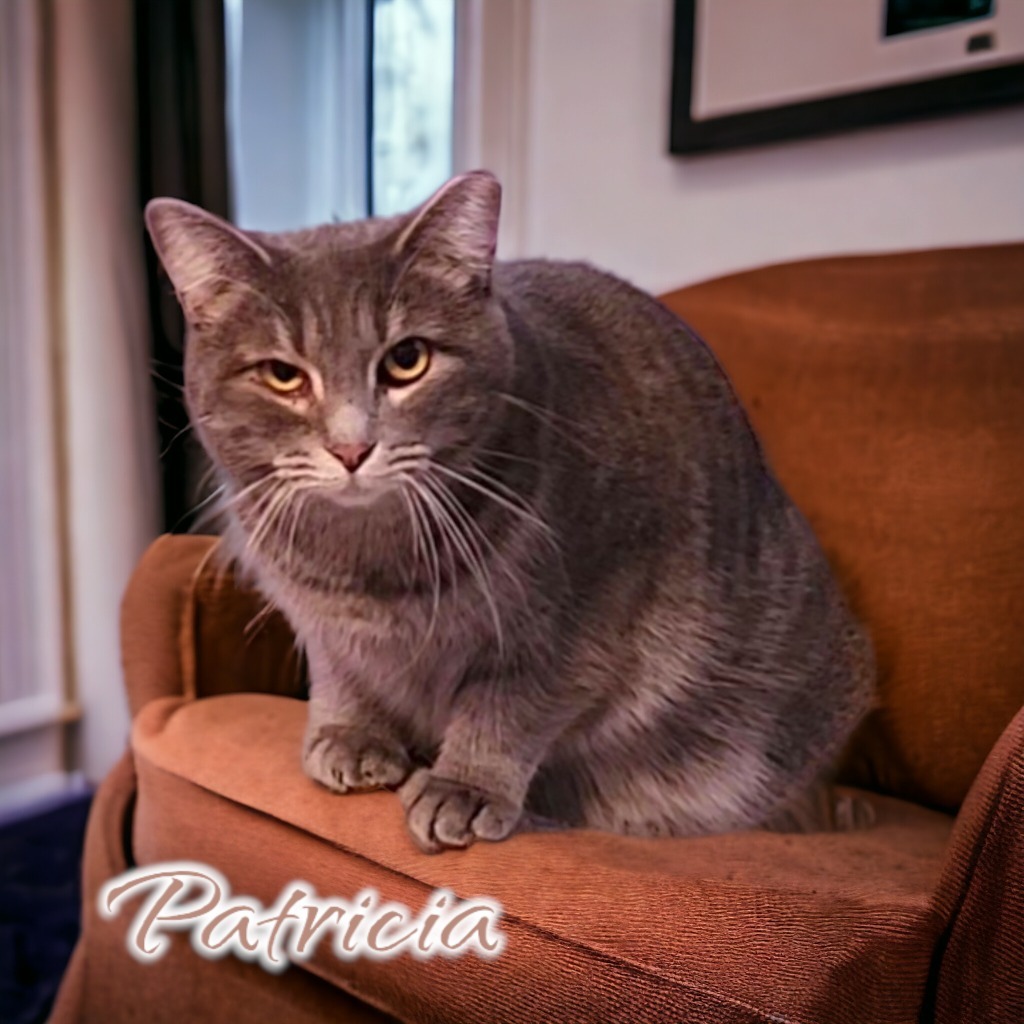 Patricia
