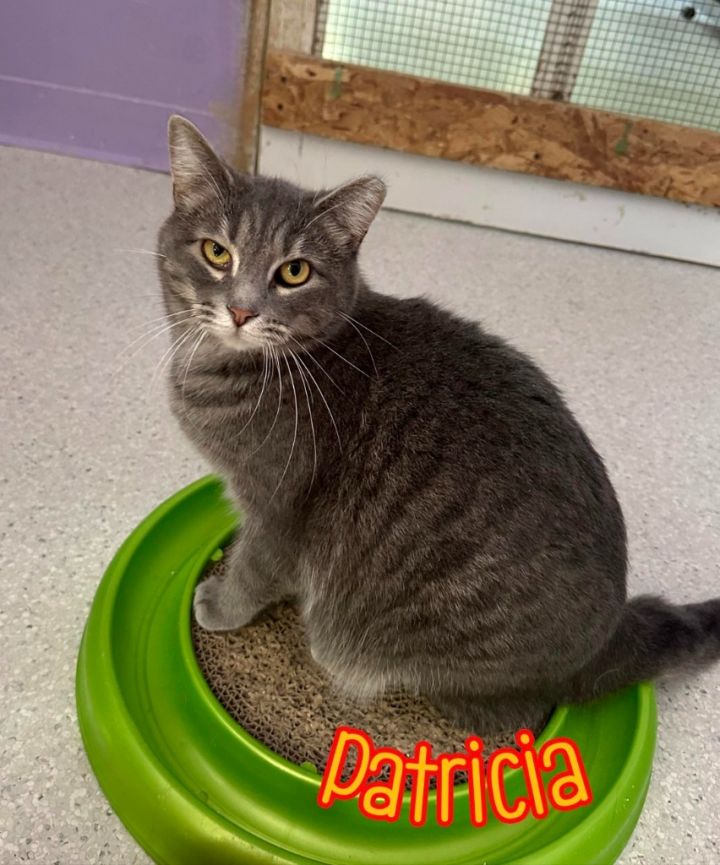 Patricia 6