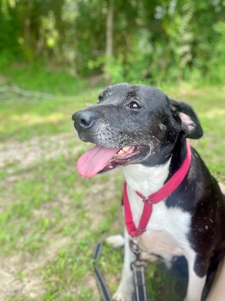 Etta