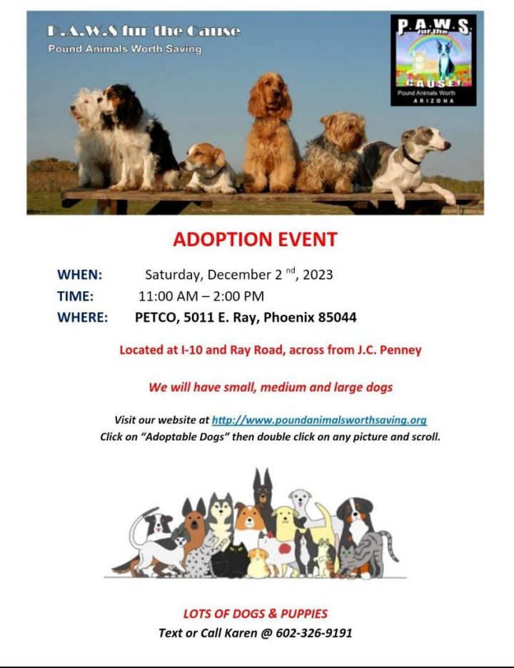 Pet adoption event coming to Empire Ford