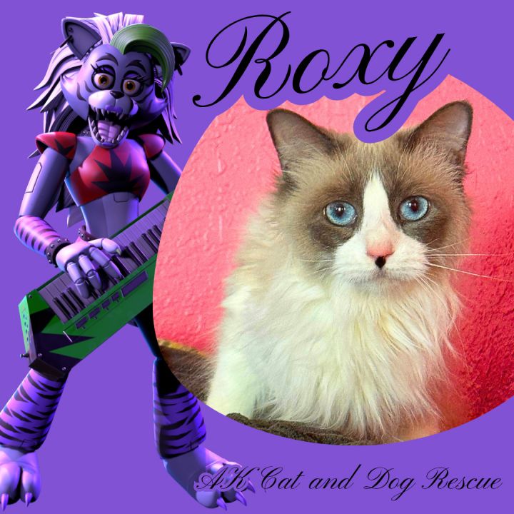 Roxy 1