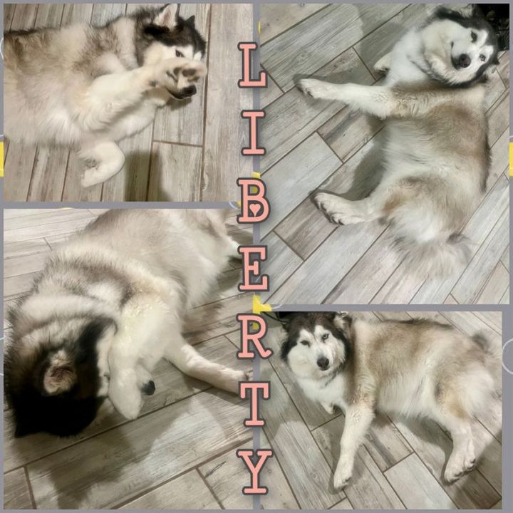 Liberty 1